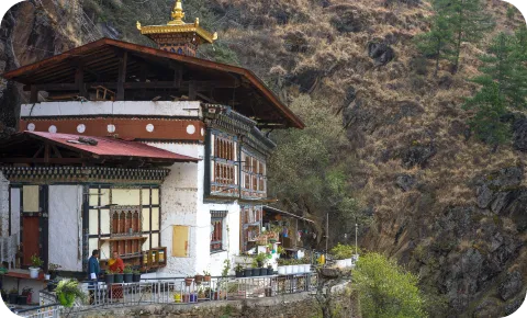 across punakha, hobjikha, thimphu, & paro